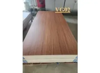 Tấm hậu PVC VG02